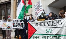 رسالة مفتوحة من كتّاب وفنانين تدين الإبادة الجماعية في غزة